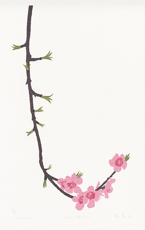 Peach Blossoms - Delaware State Flower by Henry Herman Evans
