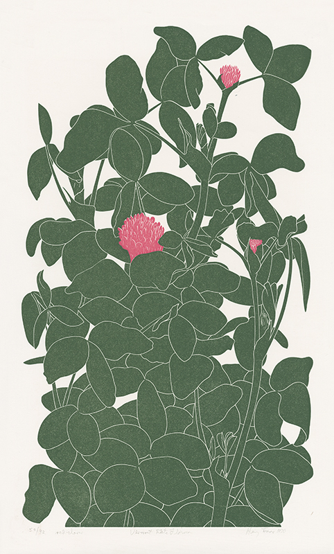 Red Clover - Vermont State Flower by Henry Herman Evans