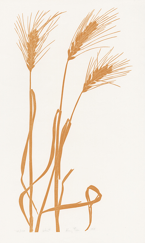 Wheat by Henry Herman Evans
