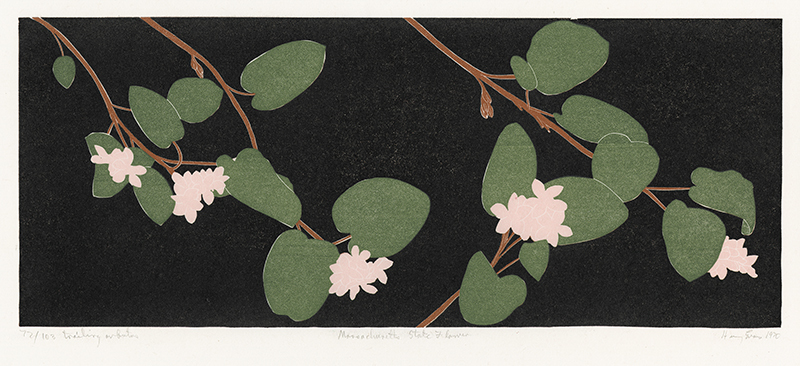 Trailing Arbutus - Massachusetts State Flower by Henry Herman Evans