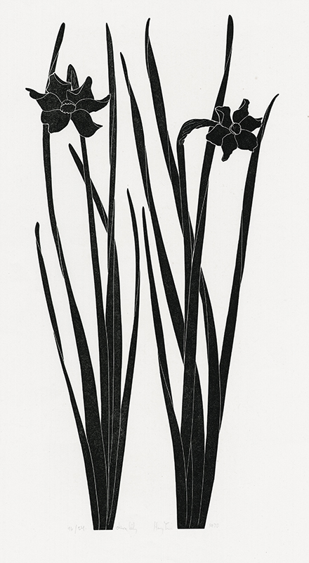 China Lily (daffodils) by Henry Herman Evans