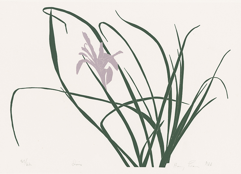 Iris by Henry Herman Evans