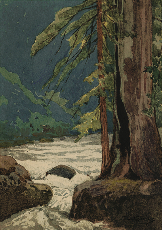 Austin Creek near Trosper’s, Cazadero by William Seltzer Rice