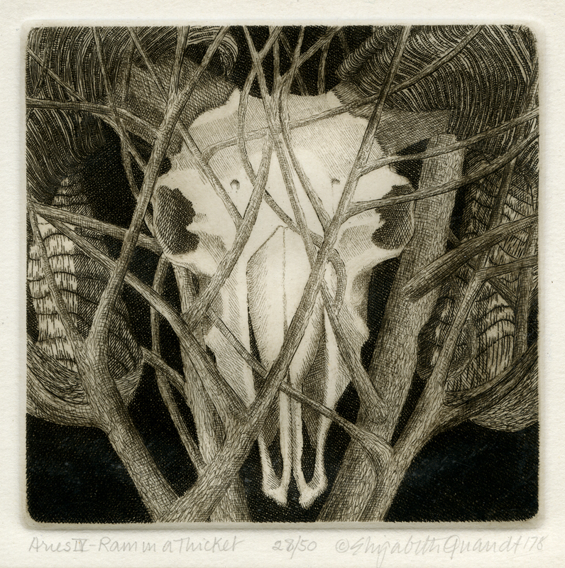 Aries IV: Ram in a Thicket by Elizabeth Quandt