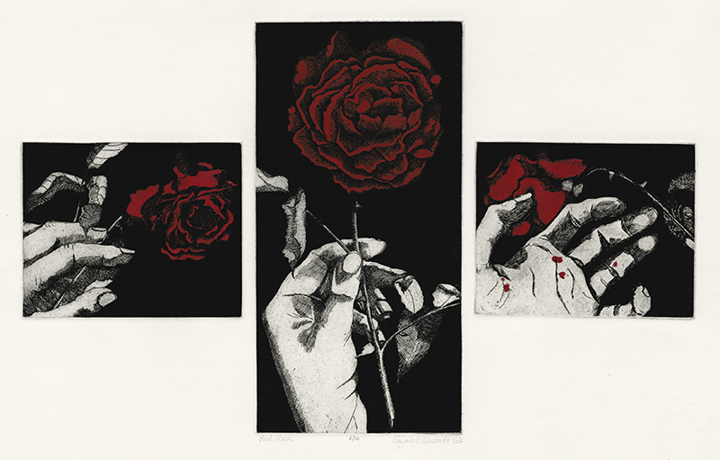 Red Rose by Elizabeth Quandt