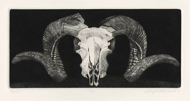 Aries (suite of four etchings, frontispiece and silkscreened brown paper folio) by Elizabeth Quandt