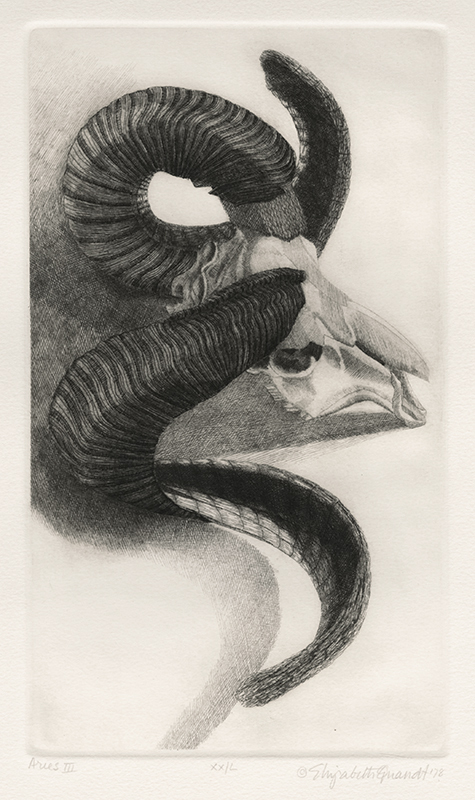 Aries (suite of four etchings, frontispiece and silkscreened brown paper folio) by Elizabeth Quandt