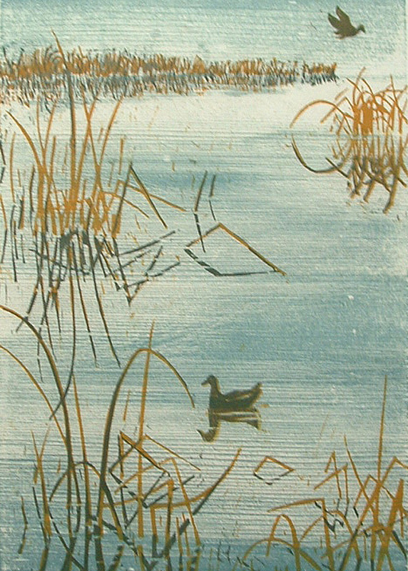 Silent Water by Edward Ryden