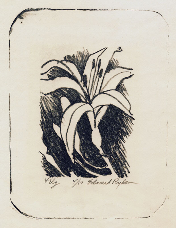 Lily by Edward Ryden