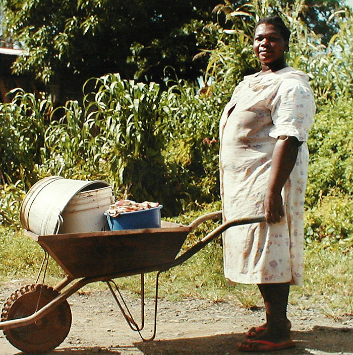 Wheelbarrow for women deals