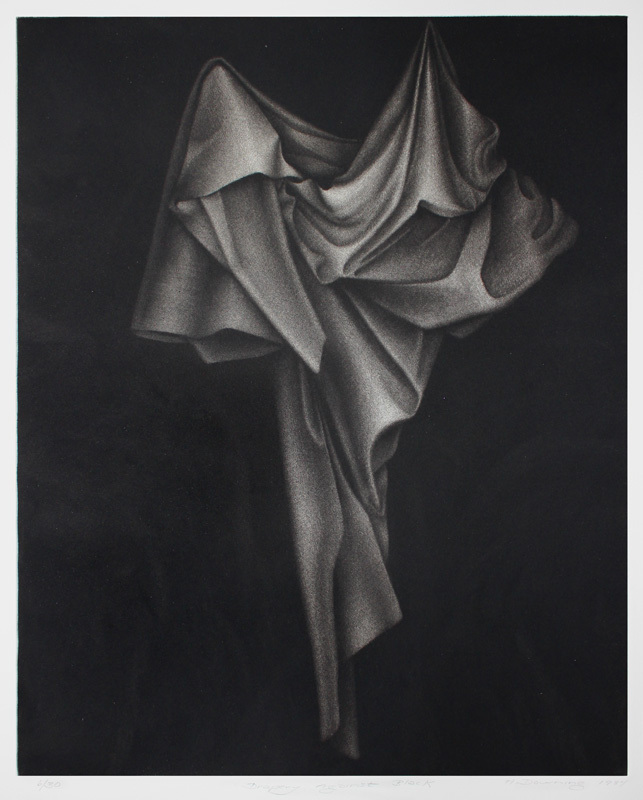 Drapery Against Black by Holly Downing