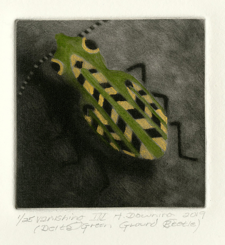 Vanishing III (Delta Green Ground Beetle) by Holly Downing