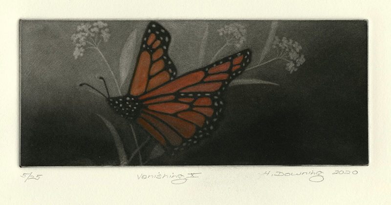 Vanishing X (Monarch Butterfly) by Holly Downing