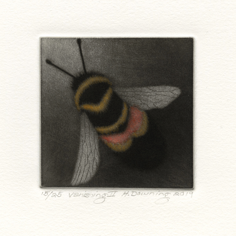 Vanishing II (Rusty Patched Bumblebee) by Holly Downing