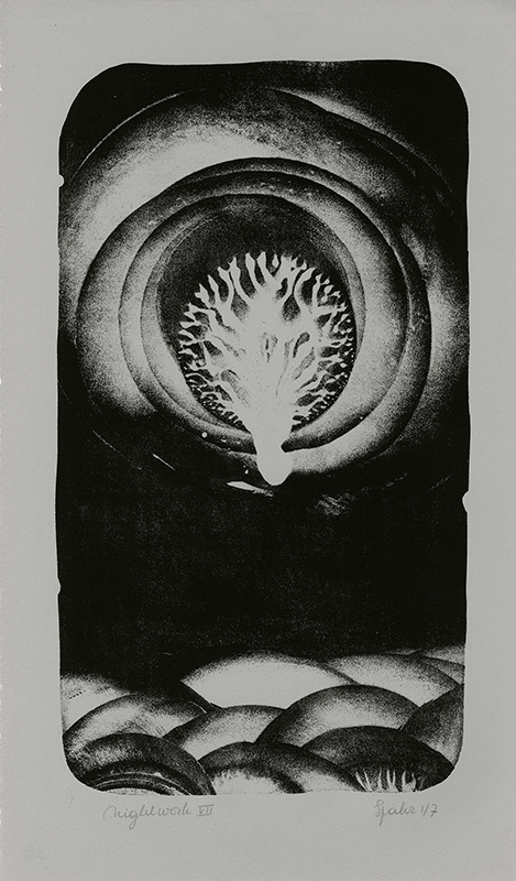 Nightwork by Herlinde Spahr