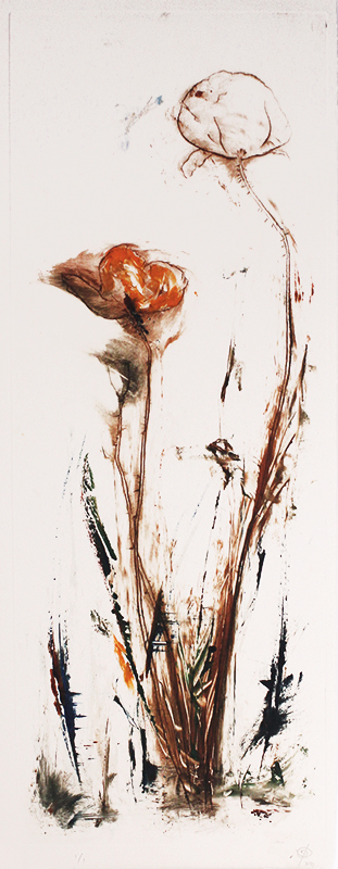 Coquelicots (Poppies) by Isabelle Proust