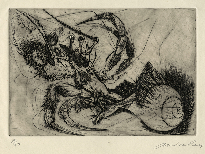 Hermit Crab - plate III from Reign of Claws by Andre Racz
