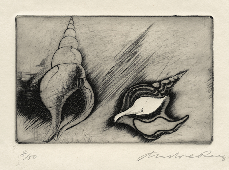 Shells - plate V from Reign of Claws by Andre Racz