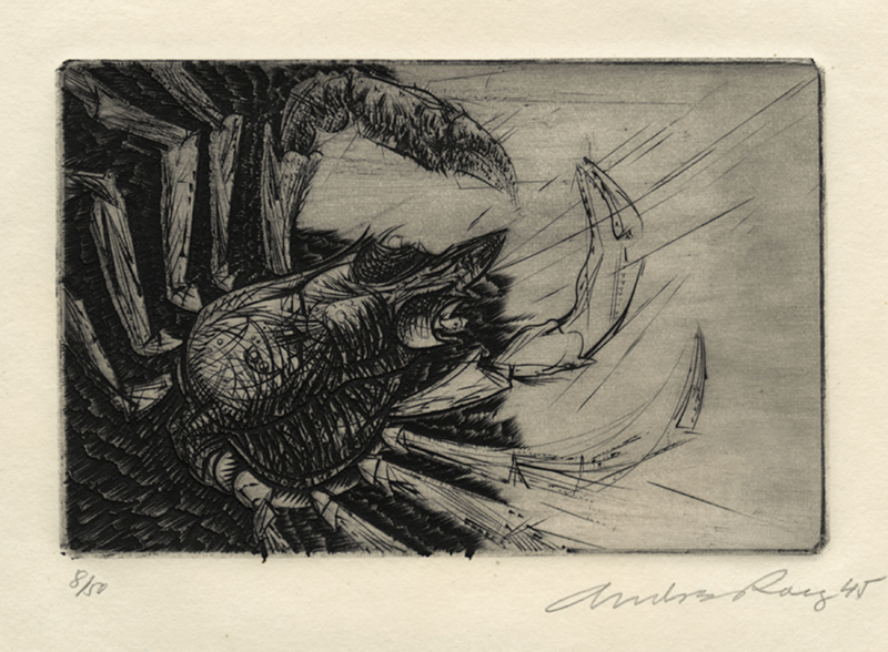 Horseshoe Crab - plate VI from Reign of Claws by Andre Racz