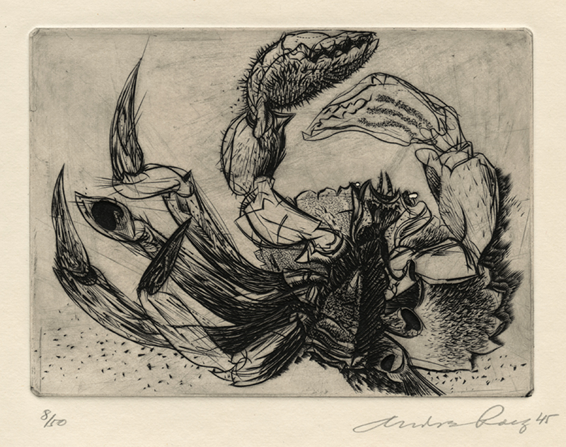 Dead Crab - plate VII from Reign of Claws by Andre Racz
