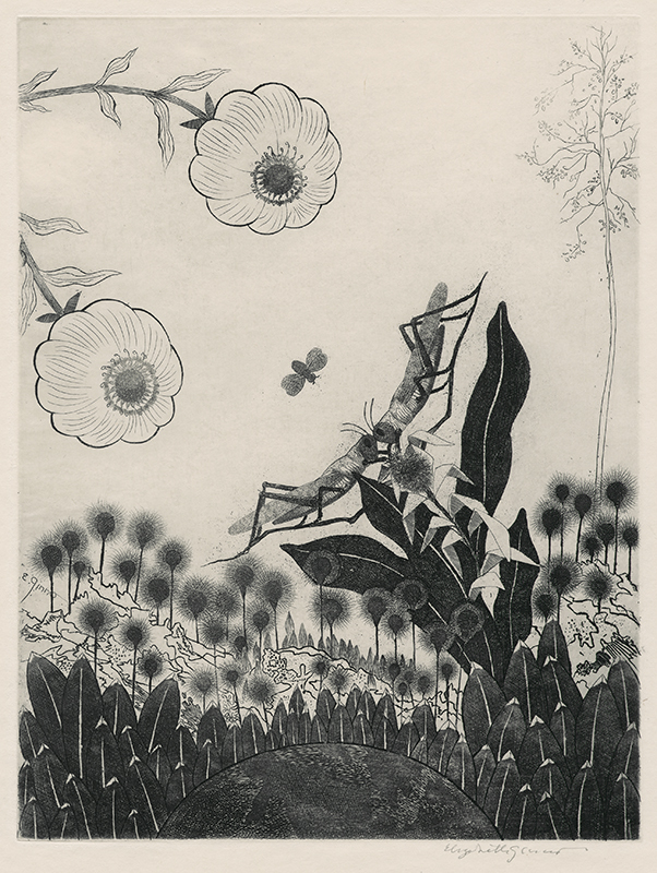 Always a Face in Nature - Grasshoppers by Elizabeth de Gebele Ginno