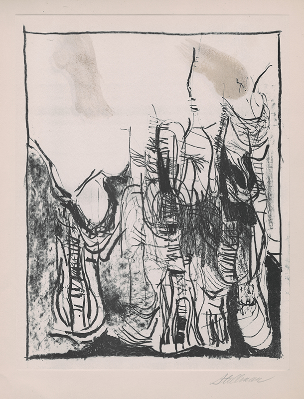 Drawings: a portfolio of 16 offset lithographs by Portfolio