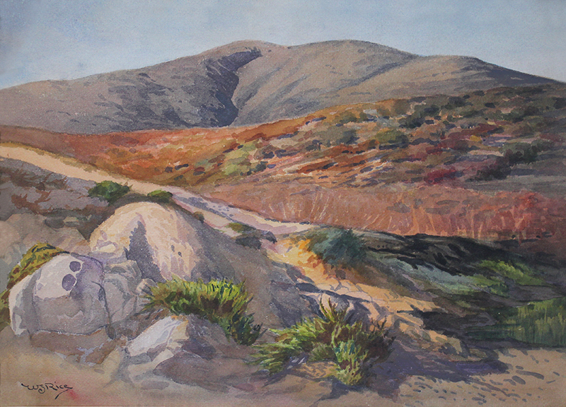Hills, Laguna Beach by William Seltzer Rice