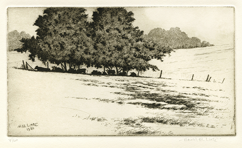 Cows in Shade of Two Trees by Harold E. Little