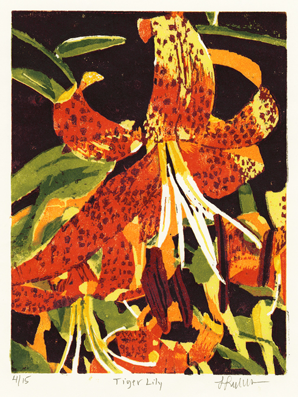 Tiger Lily by Linda Lieberman