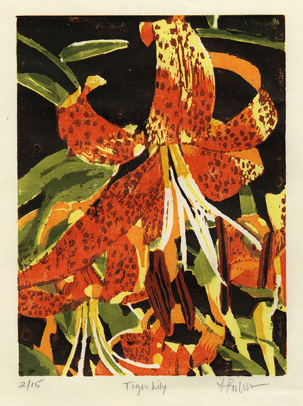 Tiger Lily by Linda Lieberman