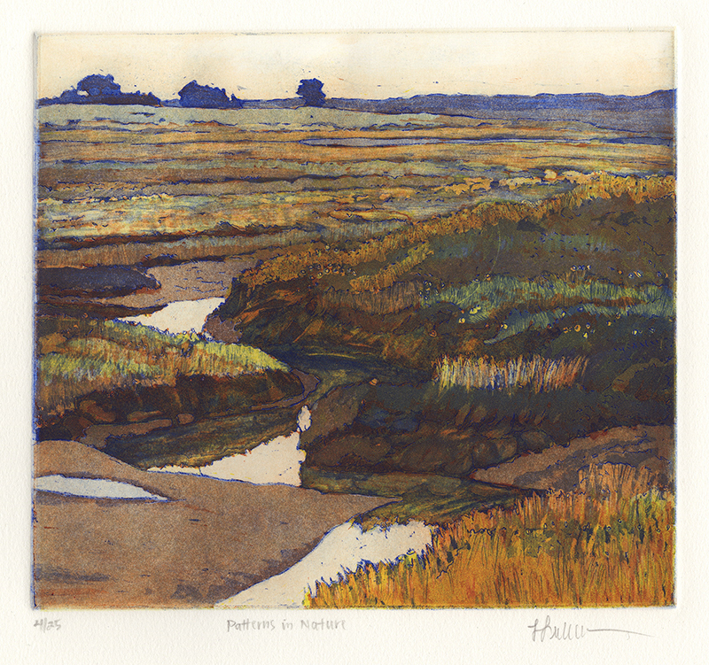 Patterns in Nature by Linda Lieberman