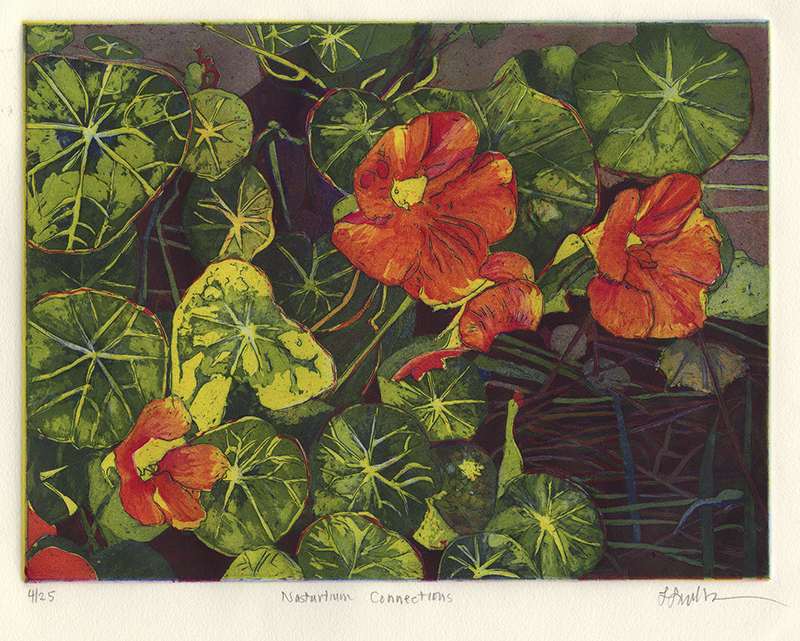 Nasturtium Connections by Linda Lieberman