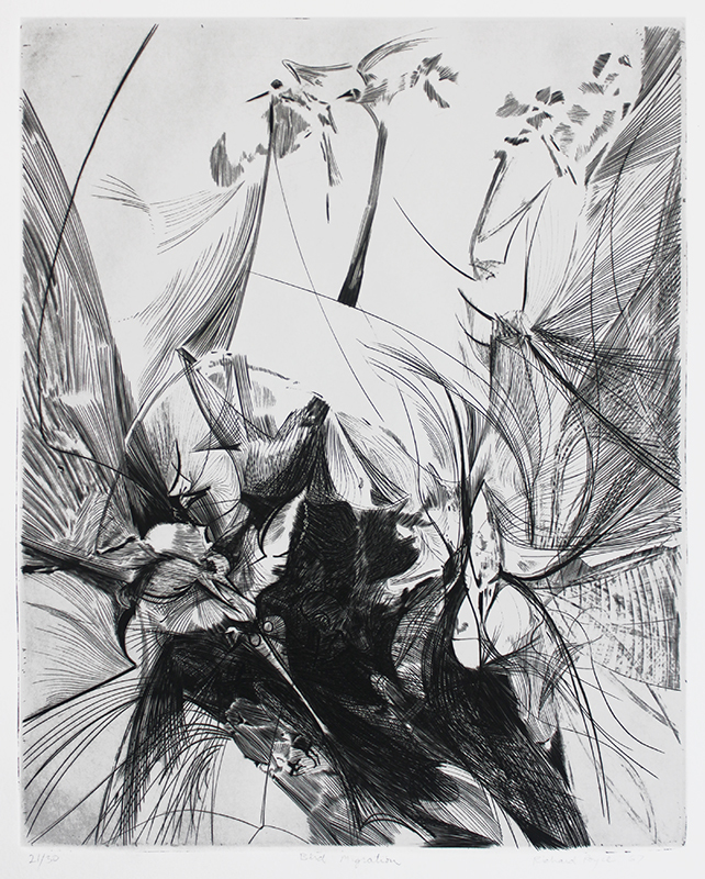 Bird Migration by Richard Royce | Annex Galleries Fine Prints