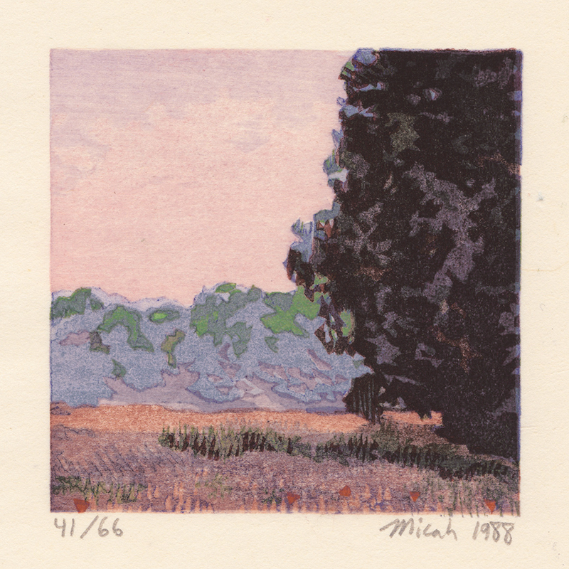 Homage to Monet - Seven Fragments of Compositions by Claude Monet by Micah Schwaberow