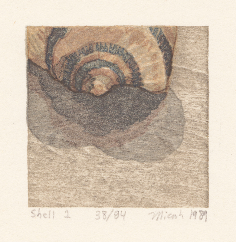 Shell Fragments, Book I - A Suite of Five Color Woodblock Prints by Micah Schwaberow