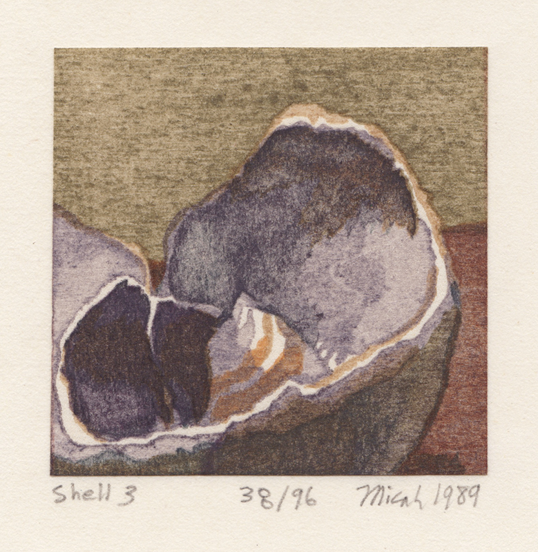 Shell Fragments, Book I - A Suite of Five Color Woodblock Prints by Micah Schwaberow