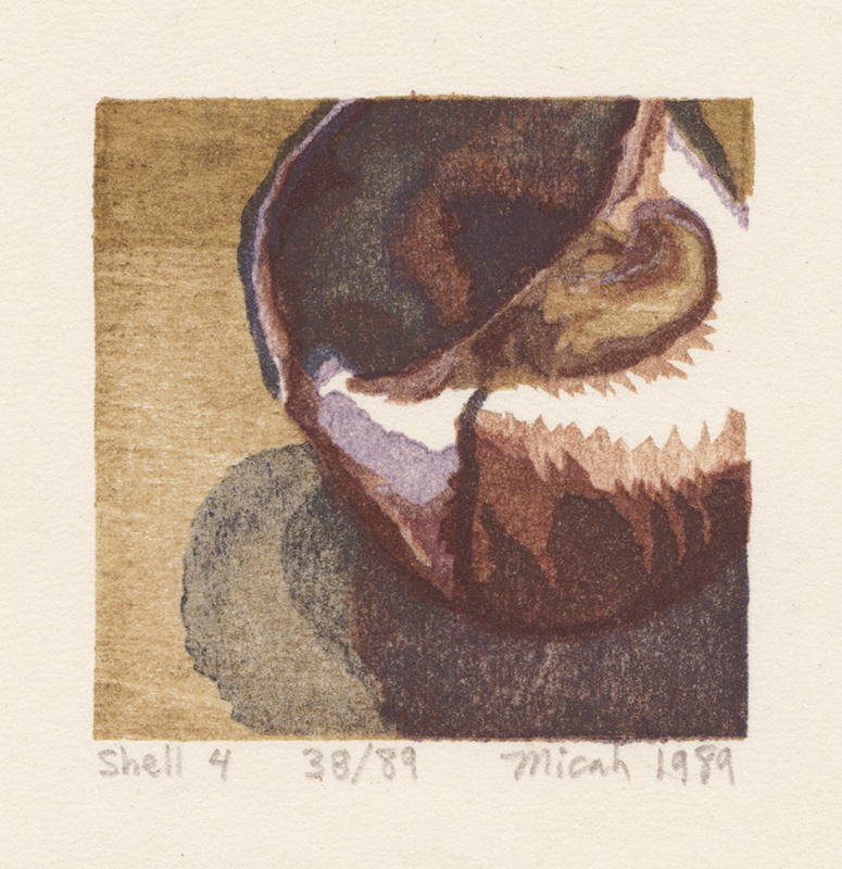 Shell Fragments, Book I - A Suite of Five Color Woodblock Prints by Micah Schwaberow