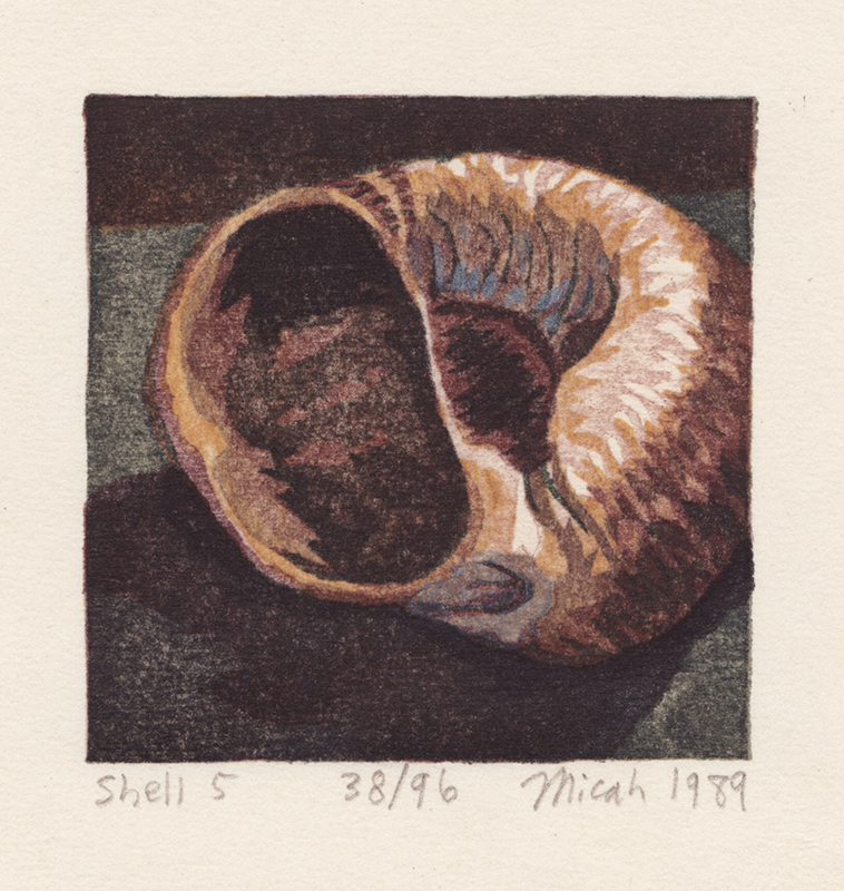 Shell Fragments, Book I - A Suite of Five Color Woodblock Prints by Micah Schwaberow