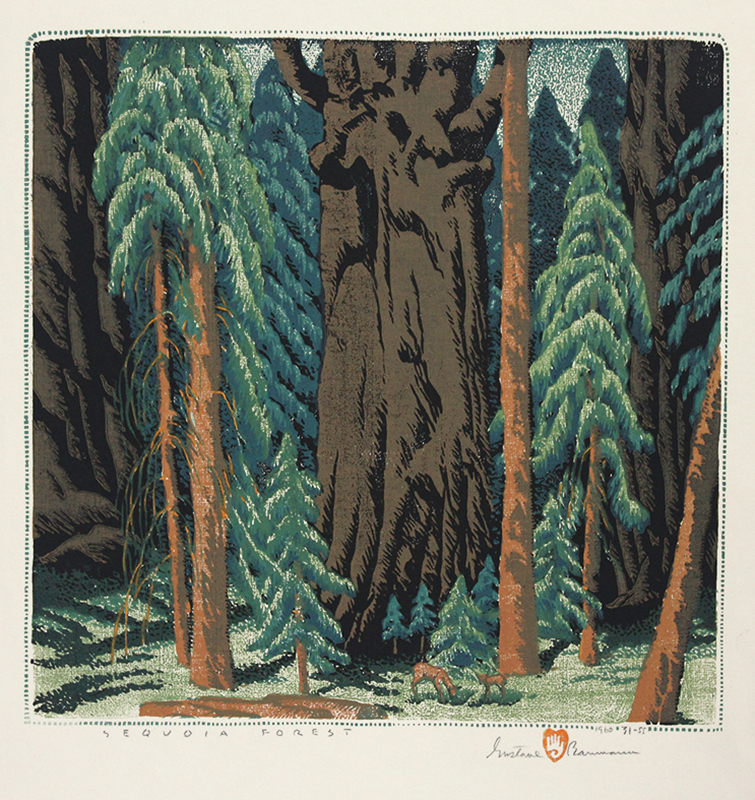 Sequoia Forest by Gustave Baumann