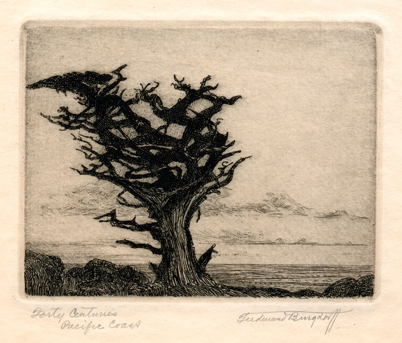 Forty Centuries Pacific Coast by Ferdinand Burgdorff