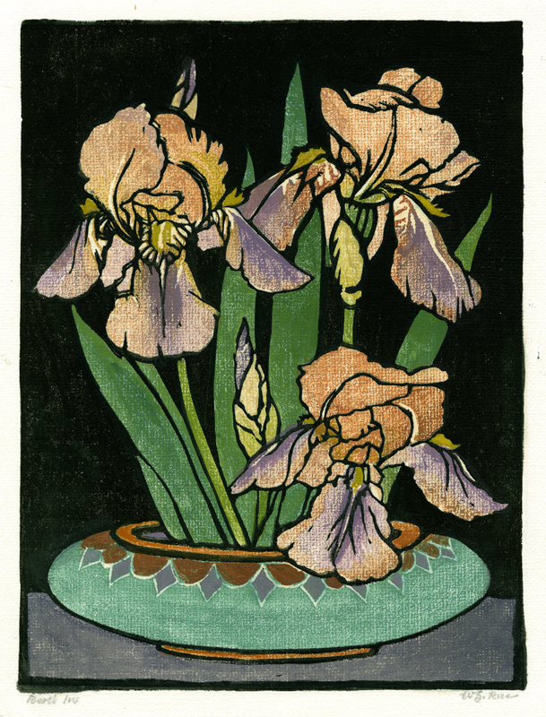 Berts Iris by William Seltzer Rice