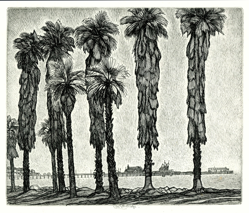 Nine Palms by Roi George Partridge