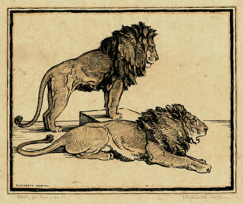 Study for Two Lions by Elizabeth Norton