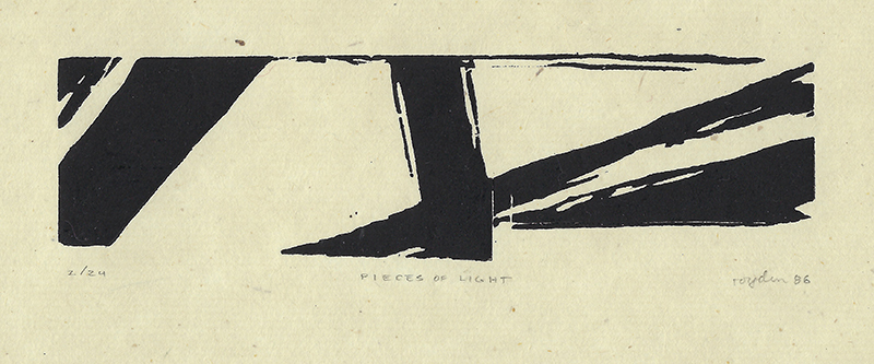 Pieces of Light by Royden Card