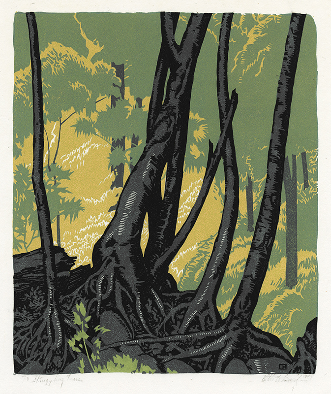 Struggling Trees by Otto William Bahl