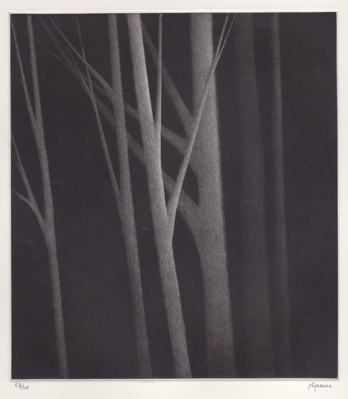 Incandescence II by Robert Kipniss
