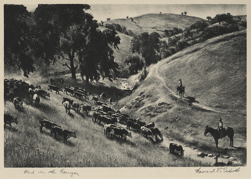 Herd in the Canyon by Howard Everett Smith