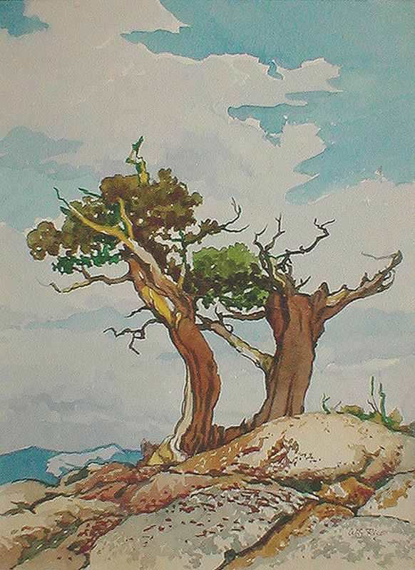 (High Junipers) by William Seltzer Rice