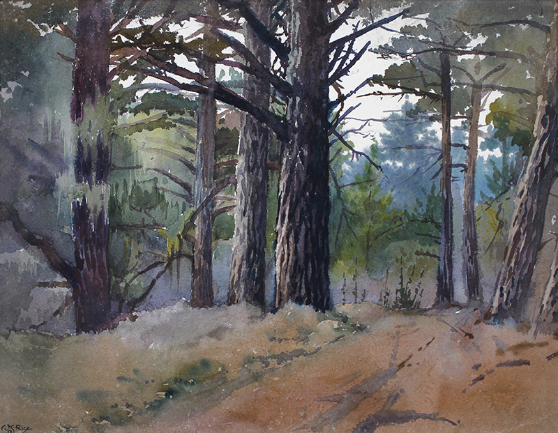 Pacific Grove in Winter by William Seltzer Rice