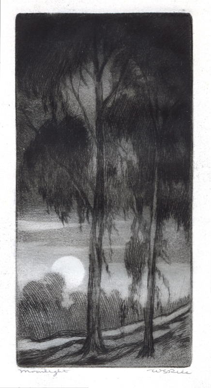 Moonlight by William Seltzer Rice